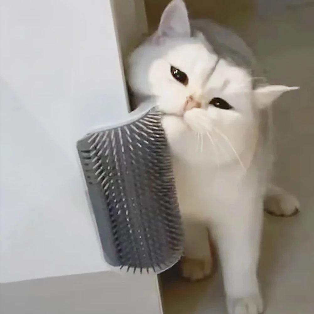 Artículo masajeador para gatos - Hair Care Good Hair reseña y precio