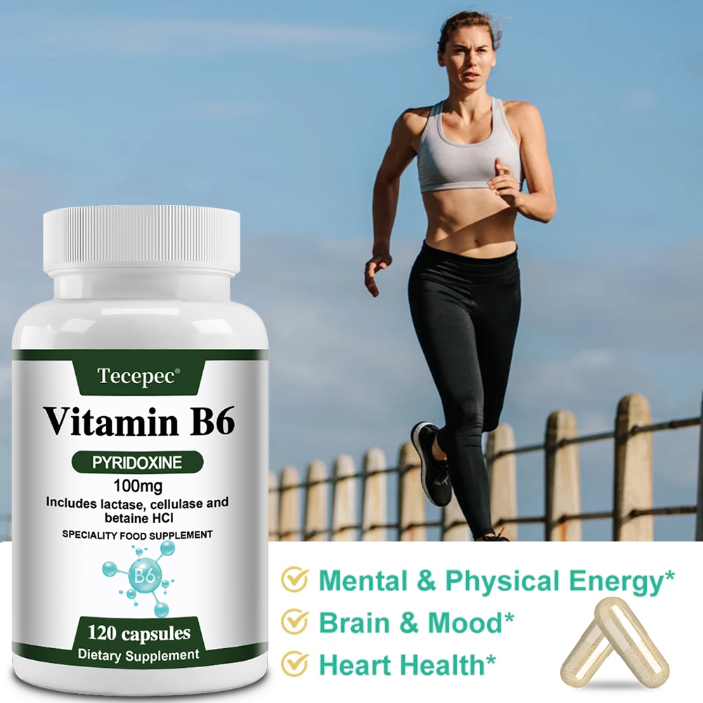 Cápsulas de Vitamina B6, Suple - Hair Care Capsule reseña y precio